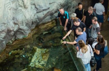 Native Icons Guided Tour in National Aquarium of New Zealand
