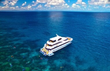 Reef Cruise, Snorkelling and Scenic Helicopter Flight with Down Under Cruise & Dive