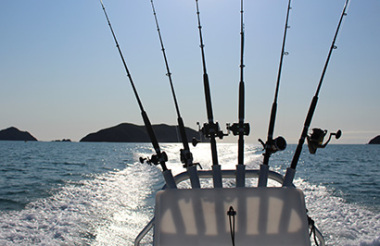 Nelson Fishing Charters Full Day Trip
