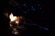 Nikau Gloworm Cave