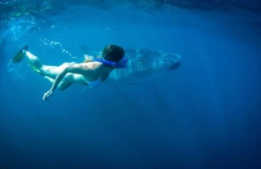 Experience the best of New Zealand with these touring ideas