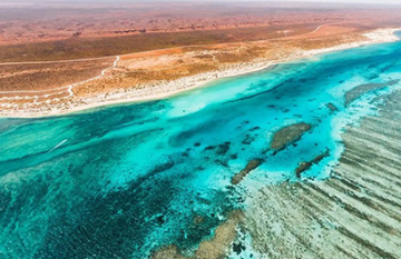 The Great Australian Rail and Reef Tour - Day 10