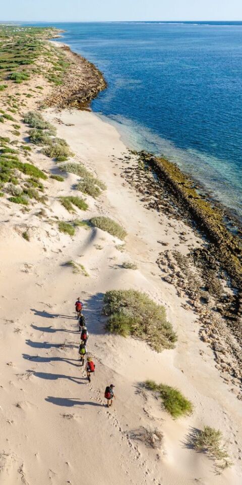 Walkers on Ningaloo Reef beach (credit to tourism australia)