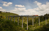 The Northern Explorer Scenic Train: Auckland to Ohakune