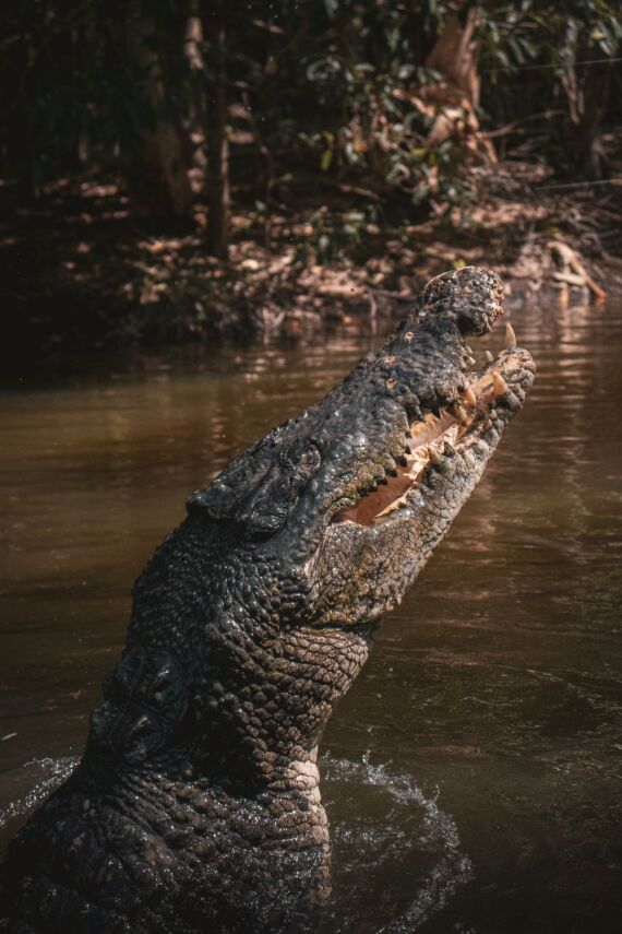 Northern Territory Travel Advice