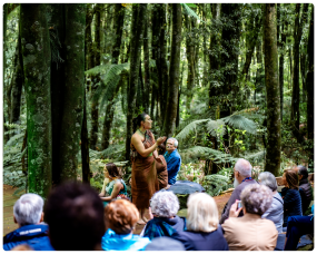 North Island Tours