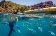 Northern Exposure Whitehaven Beach Tour with Ocean Rafting