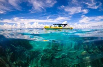 Port Douglas Tropical Tour - Day 4