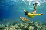 Great Barrier Reef Turtle Tripper Adventure with Ocean Safari