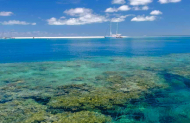 Michaelmas Cay Cruise with Ocean Spirit - Lunch Included
