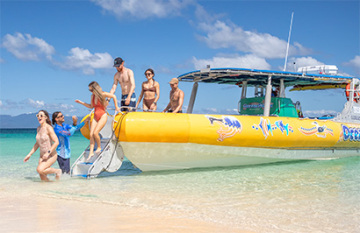 Tropical Reef and Rainforest Tour - Day 7