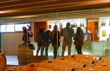 Queenstown Wine and Gourmet Odyssey Tour