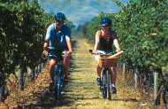 On Yer Bike Winery Tours