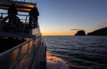On Board Tasmanian Expedition Cruises: East Coast Expedition - Day 1