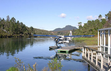 Natural New Zealand - Day 4