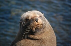 NZ self drive itineraries and package holidays