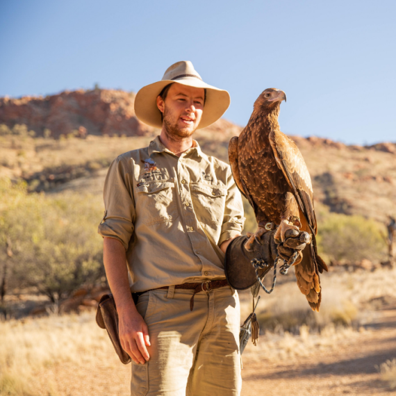train rolling through the countryside