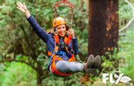 Zipline Adventure with Otway Fly