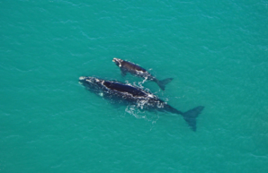 See all of New Zealand with a tailor-made package holiday