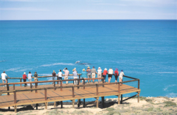 Outback Spirit - Eyre Peninsula Whale & Seafood Discovery - Day 3