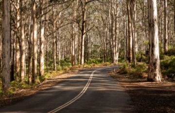 Outback Spirit - Margaret River & Rottnest Island Explorer - Day 3