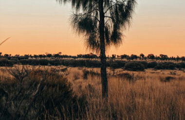 Mitchell Grass Retreat Three Night All Inclusive Longreach Adventure