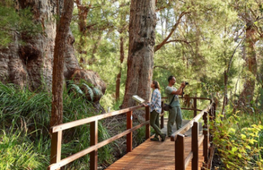 New Zealand holidays & tours
