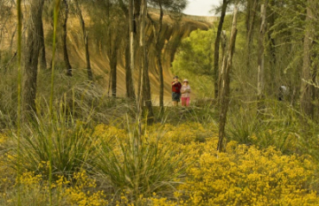 Outback Spirit - Western Wildflowers Discovery - Day 2