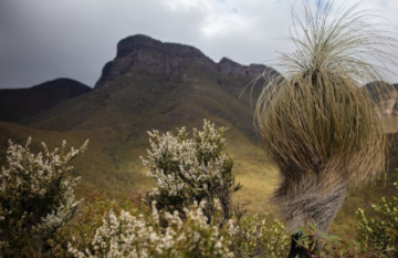 Outback Spirit - Western Wildflowers Discovery - Day 5