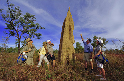 Outback Spirit - Cape York Wilderness Adventure - Day 4
