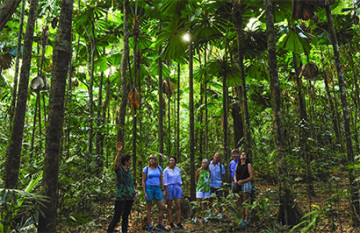 Outback Spirit - Cape York Wilderness Adventure - Day 2