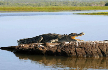 Outback Spirit - Arnhem Land Wetlands & Wildlife - Day 8
