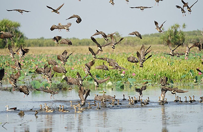 Outback Spirit - Arnhem Land & Kakadu Explorer - Day 6