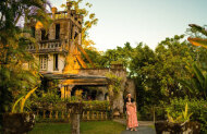 Rainforest, Waterfalls & Paronella Park Tour with Northern Experience Eco Tours
