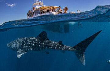 Autopia Tours: Perth to Exmouth Road Trip - Day 1