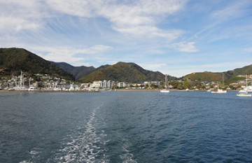 Classic New Zealand Tour - Day 7