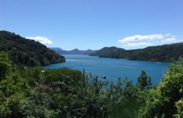 Essential Luxury New Zealand Tour - Day 8