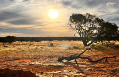 The Pilbara, WA