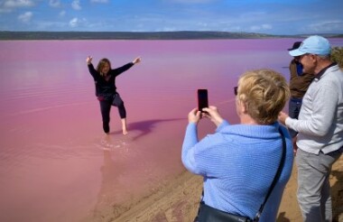 Pink Lake and Coastal Cliffs Tour with D' Guy Charter