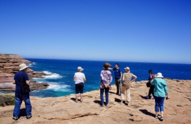 Pink Lake and Coastal Cliffs Tour with D' Guy Charter