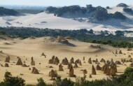 Pinnacles, Yanchep, & Swan Valley with Australian Pinnacle Tours - lunch included