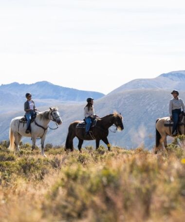 The Lindis Horse Trekking