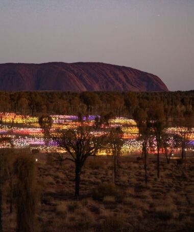 Uluru Field of Light