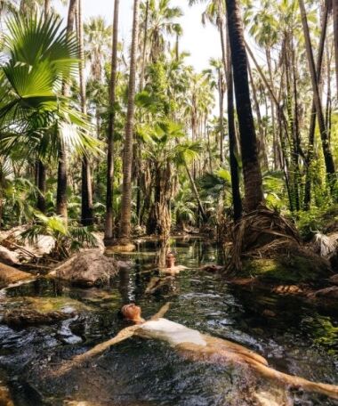 Rainforest Bathing