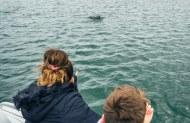 Port River Dolphin & Ships Graveyard Cruise with Port River Cruises