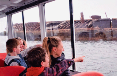 Port River Dolphin & Ships Graveyard Cruise with Port River Cruises