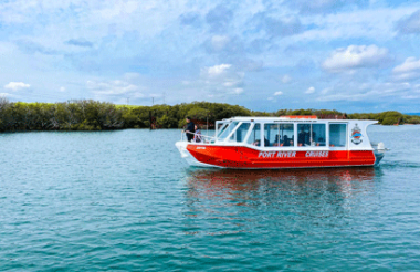 Port River Dolphin & Ships Graveyard Cruise with Port River Cruises