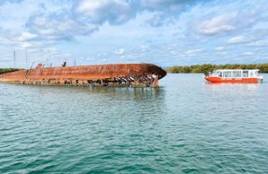 Port River Dolphin & Ships Graveyard Cruise with Port River Cruises