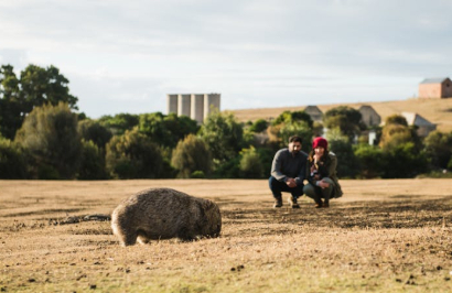 Premier Travel Tasmania - Western Wilderness & Wildlife Encounter - Day 2