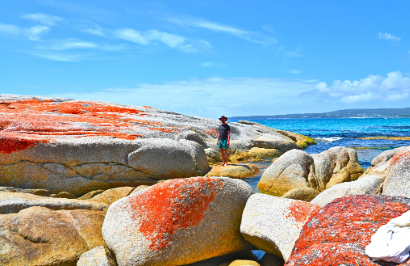 Premier Travel Tasmania - Western Wilderness & Wildlife Encounter - Day 4